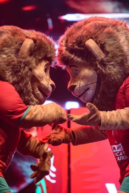 Casol vs comercial mascotes