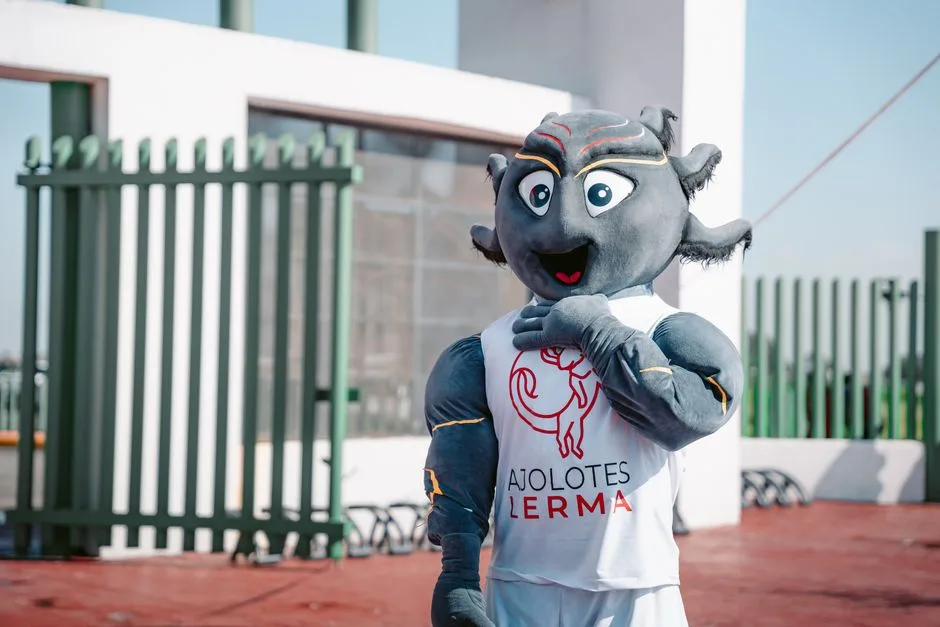 Casol vs comercial mascotes
