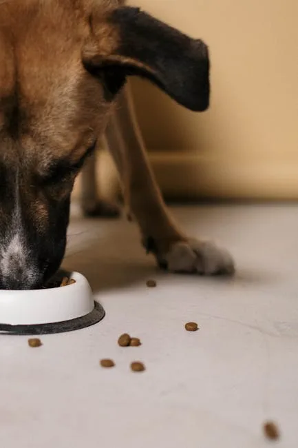 Custom dog food benefits