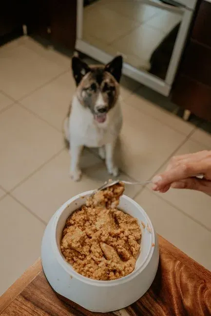 Custom pet food