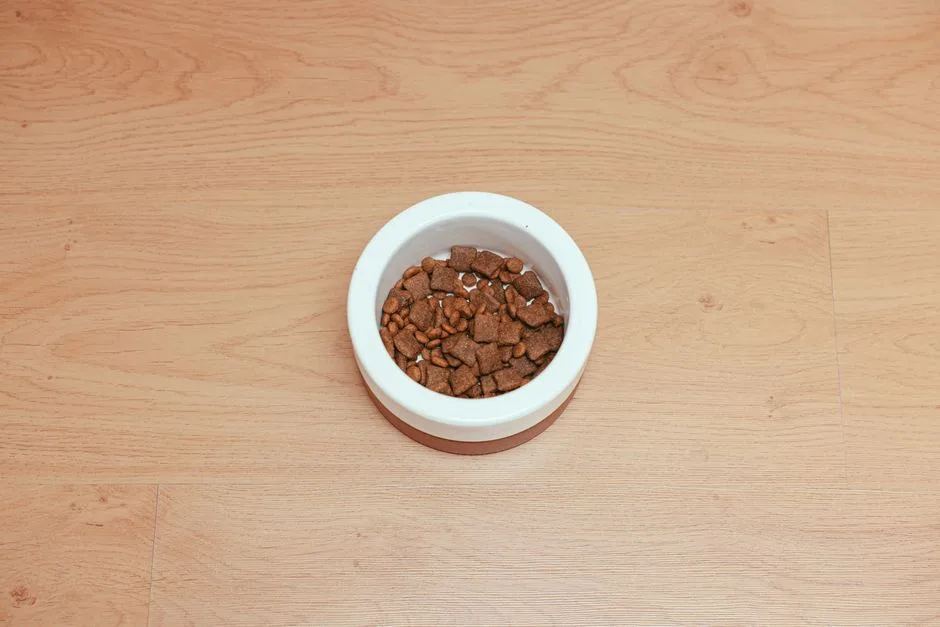 Grain-free dog food myths