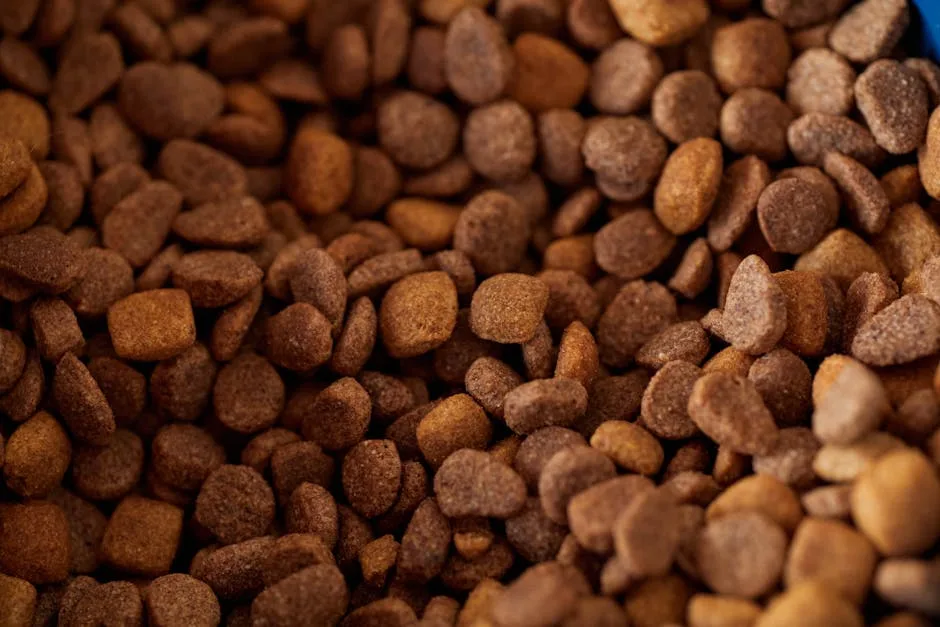 Grain-free dog food myths