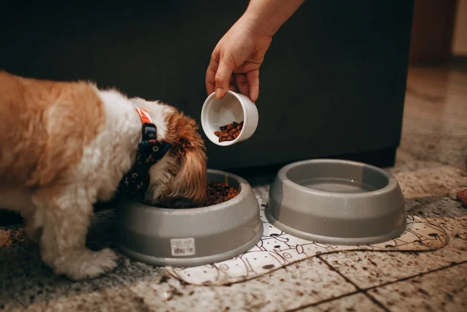Puppy senior life stage nutrition