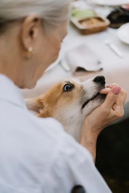 Nutrición cachorros y seniors