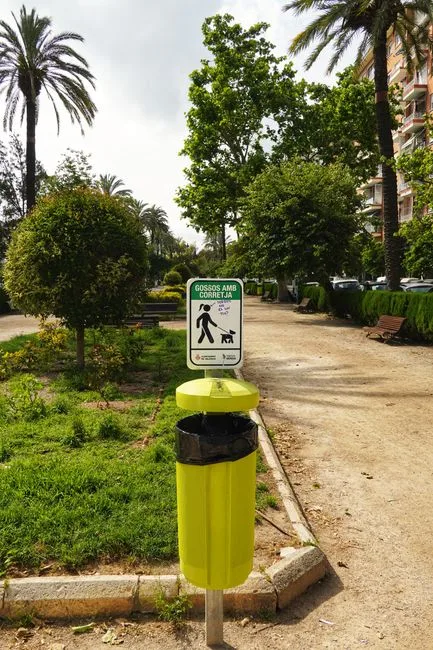 Proteïna gossos adults